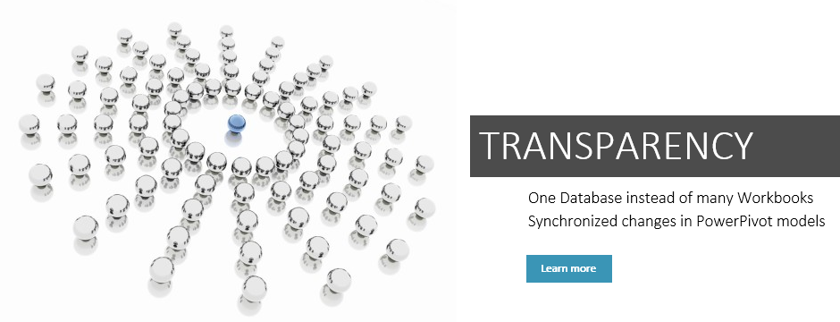 Transparency: Use a single Database instead of many Excels Synchronize changes in PowerPivot
